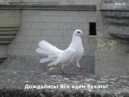 l hmam